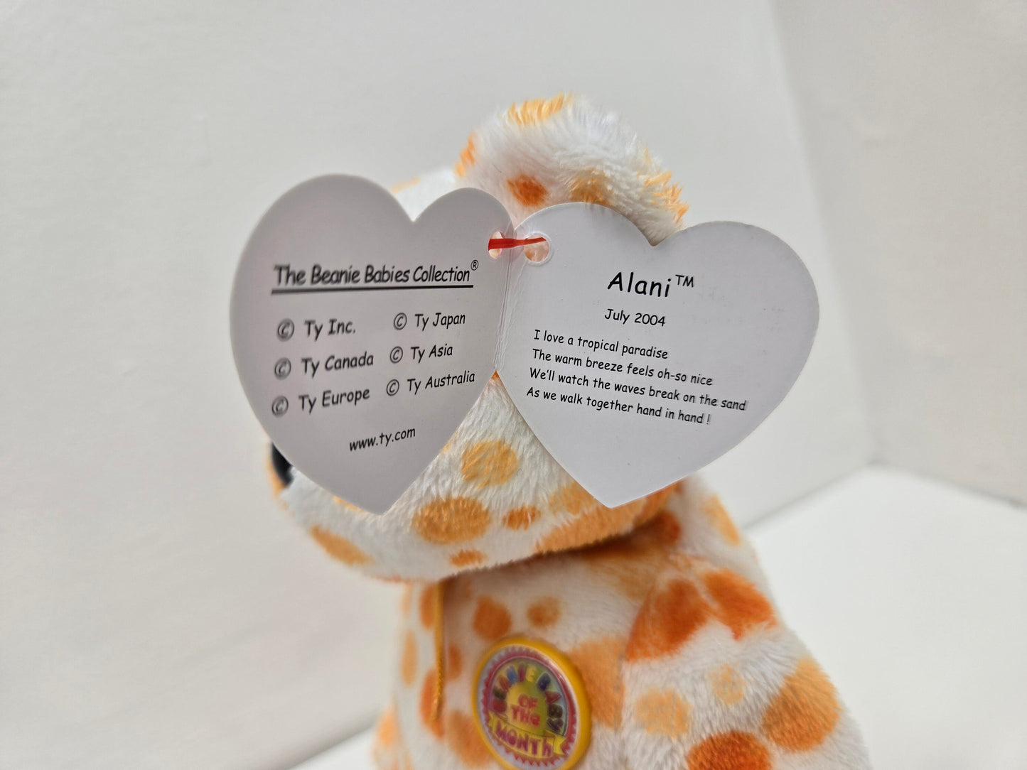 Ty Beanie Baby “Alani” the Bear - Beanie Baby of the Month (8.5 inch)