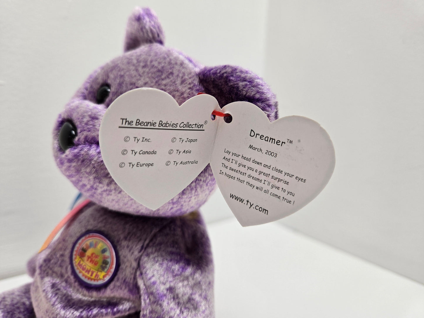 Ty Beanie Baby “Dreamer” the Bear - Beanie Baby of the Month (8.5 inch)