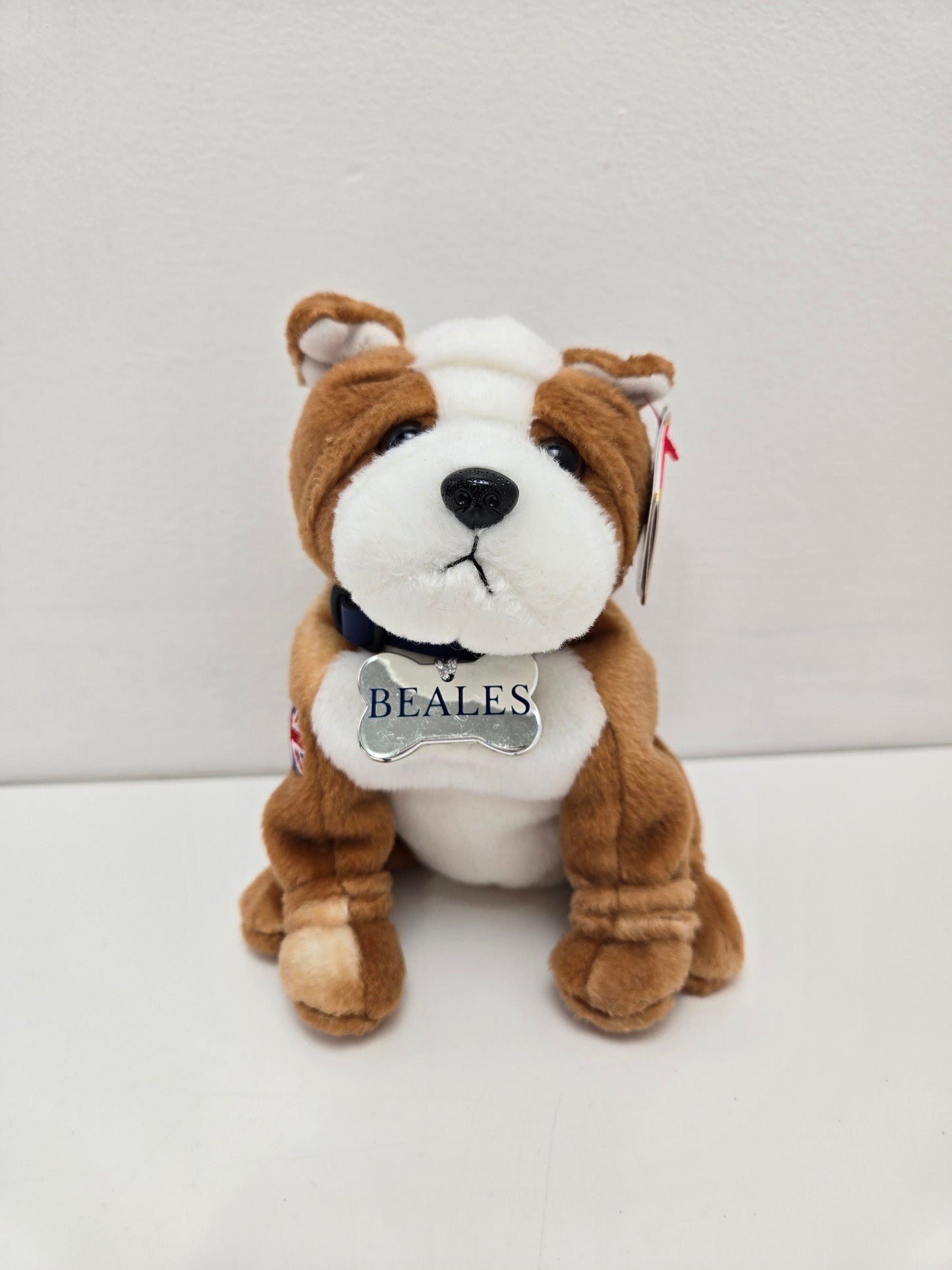 Ty Beanie Baby “Bonzer” the Bulldog! Beales UK Exclusive! (6 inch)