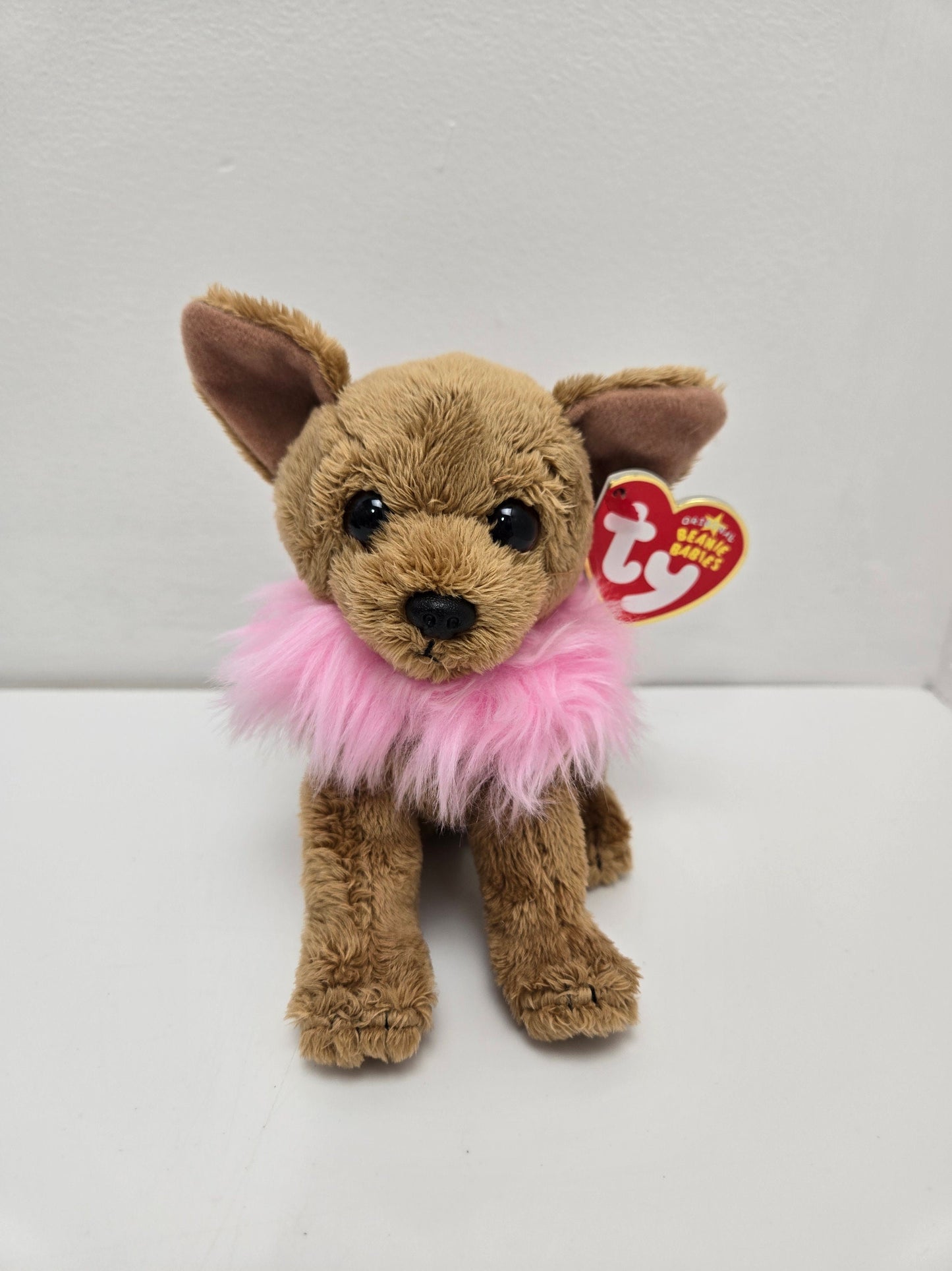 Ty Beanie Baby “Divalectable” the Chihuahua Puppy Dog! *Rare* (6 inch)