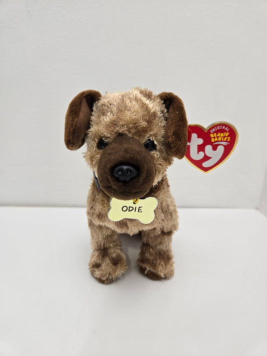 Ty Beanie Baby “Odie” the Dog - Garfield Movie Beanie! (5.5 inch)