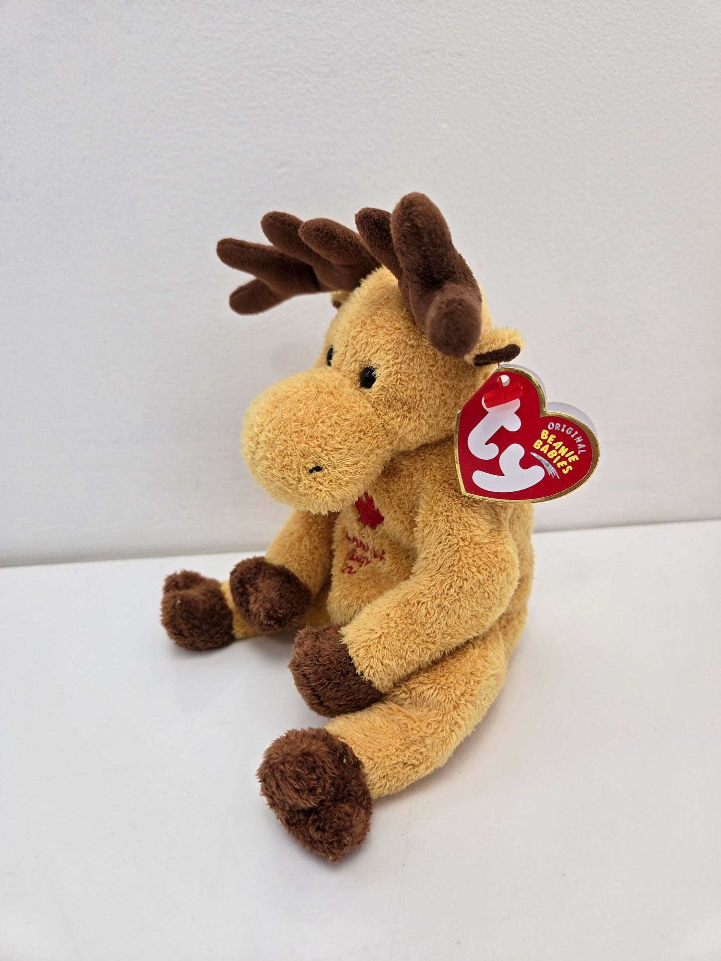 Ty Beanie Baby “Dominion” the Canada Moose! *Internet Exclusive* (6.5 inch)