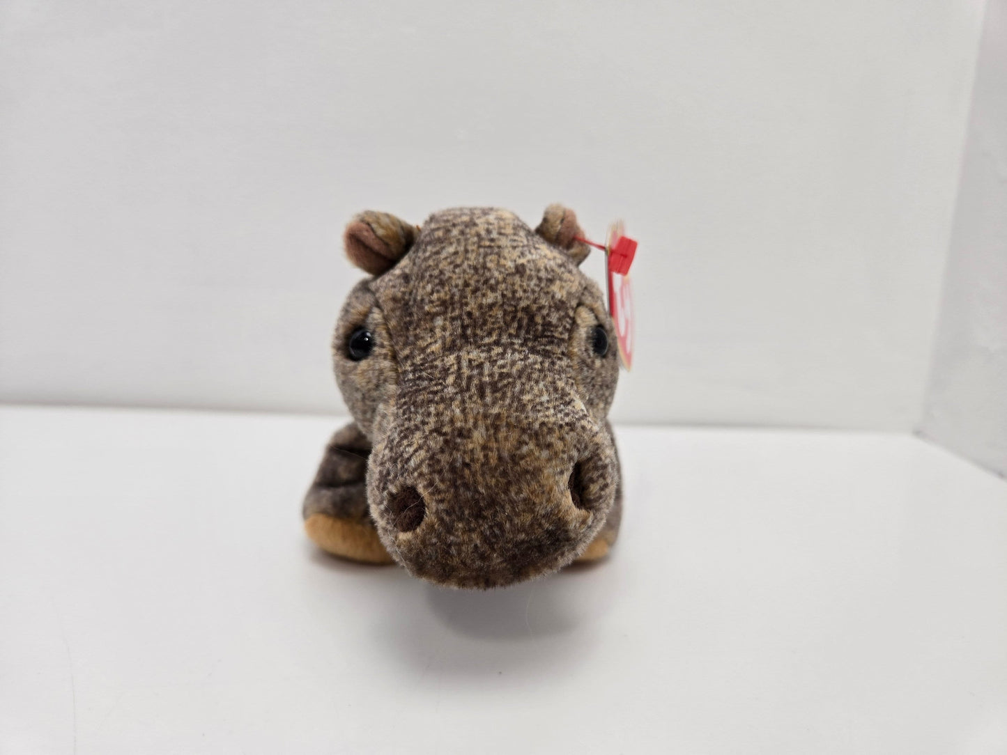 Ty Beanie Baby “Tubbo” the Hippo ! (6 inch)