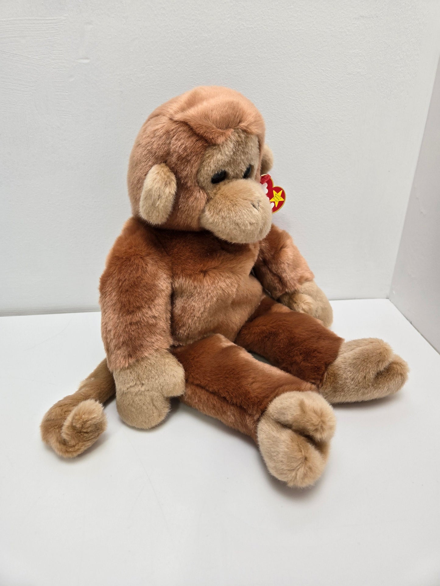 Ty Beanie Buddy Bongo the Monkey (14 inch)