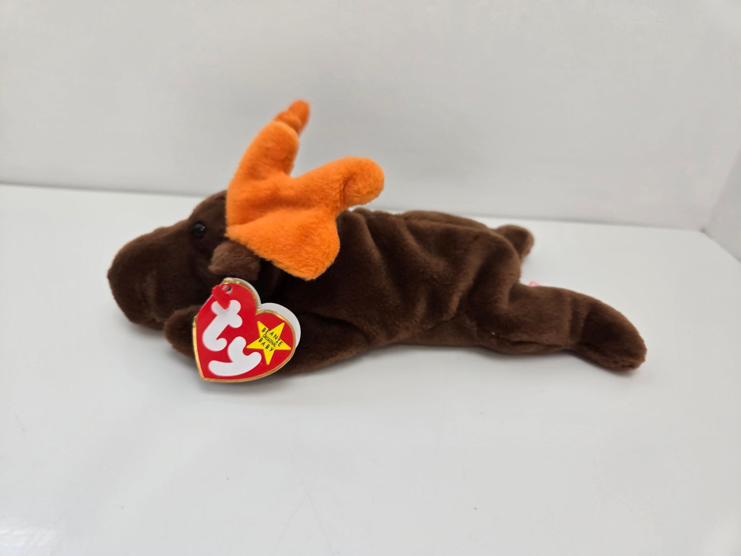 Ty Beanie Baby “Chocolate” the Moose   (9 inch)