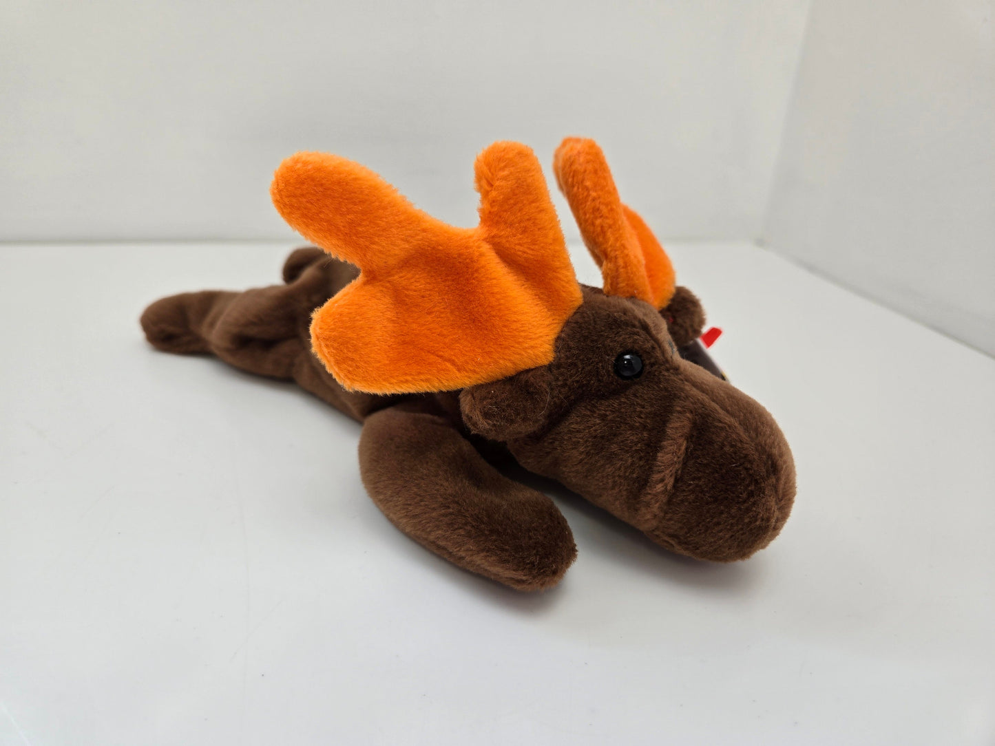 Ty Beanie Baby “Chocolate” the Moose   (9 inch)