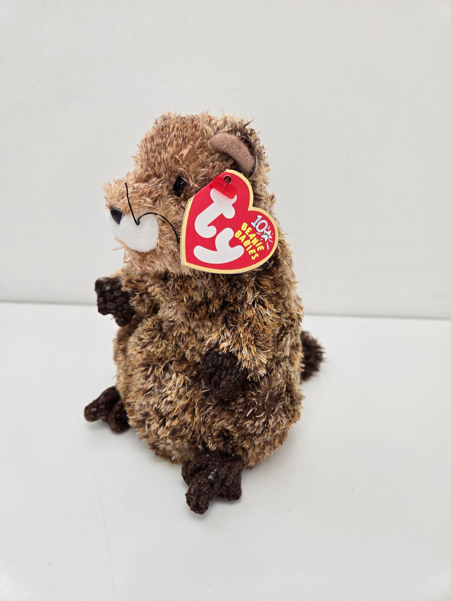 Ty Beanie Baby “Punxsutawn-e Phil” the Groundhog Day  - Internet Exclusive  (6.5 inch)