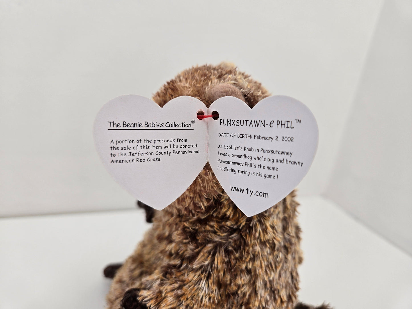 Ty Beanie Baby “Punxsutawn-e Phil” the Groundhog Day  - Internet Exclusive  (6.5 inch)