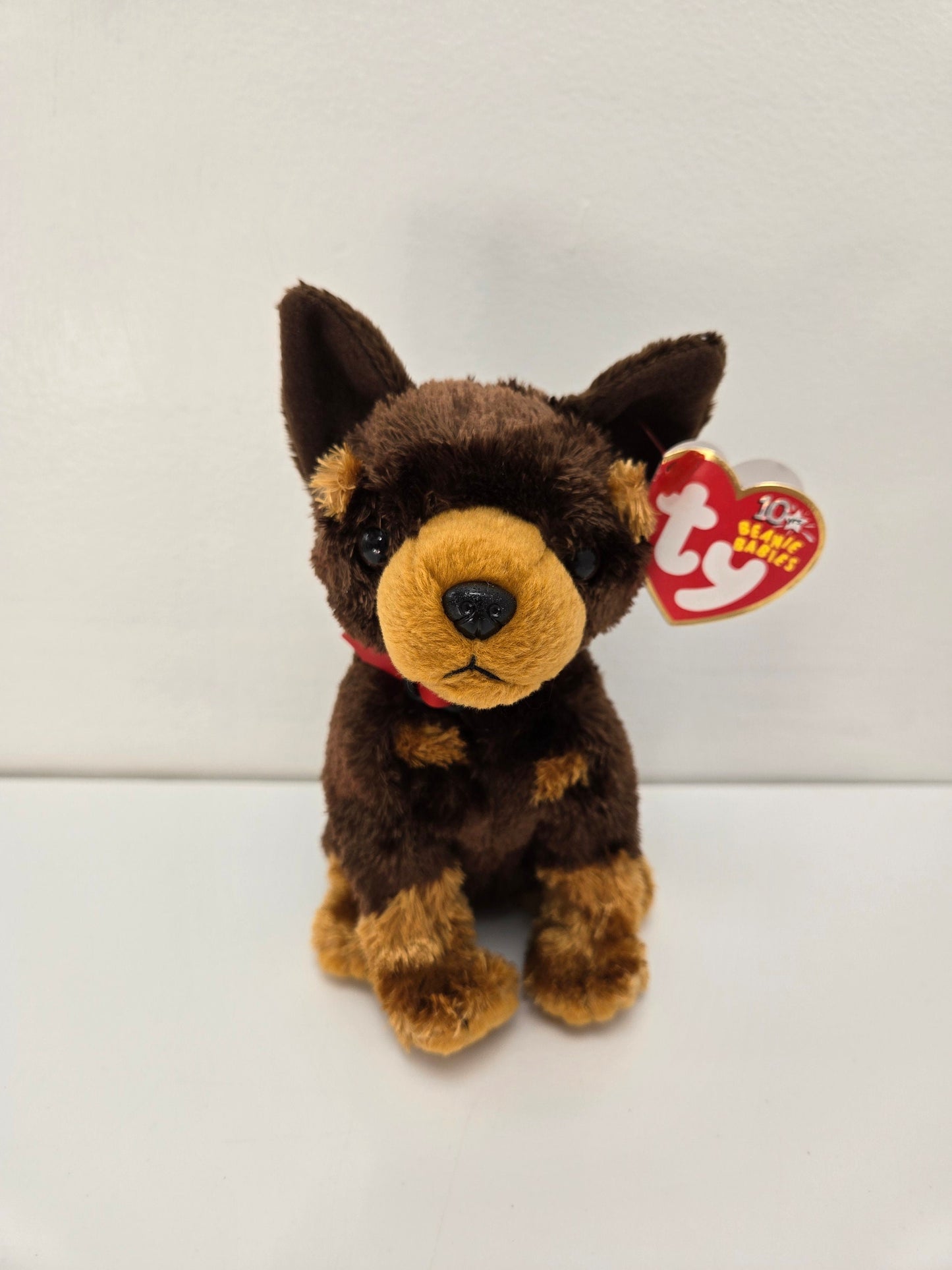 Ty Beanie Baby “Amigo” the Dog! Internet Exclusive! (6 inch)