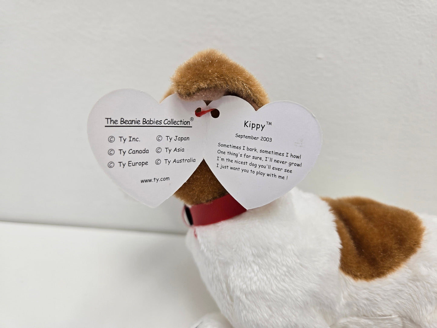 Ty Beanie Baby “Kippy” the Dog! Beanie Baby of the Month! (6 inch)