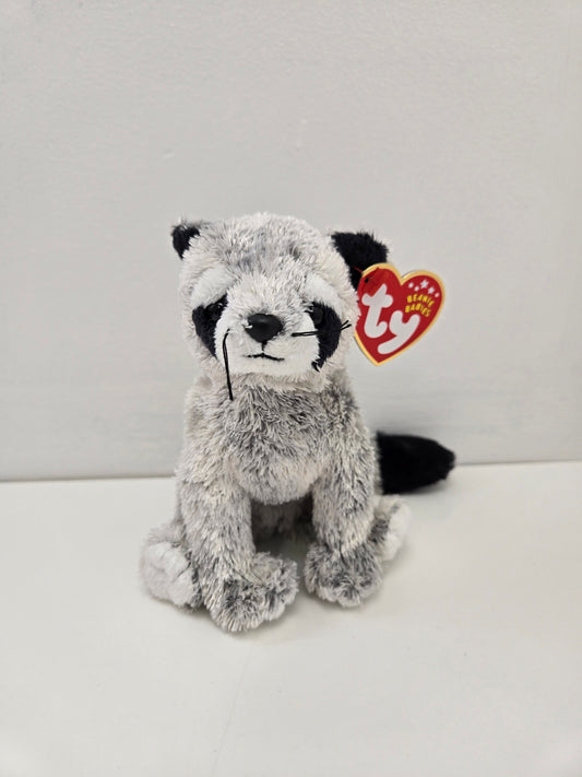 Ty Beanie Baby “Bandito” the Racoon! (6.5 inch)