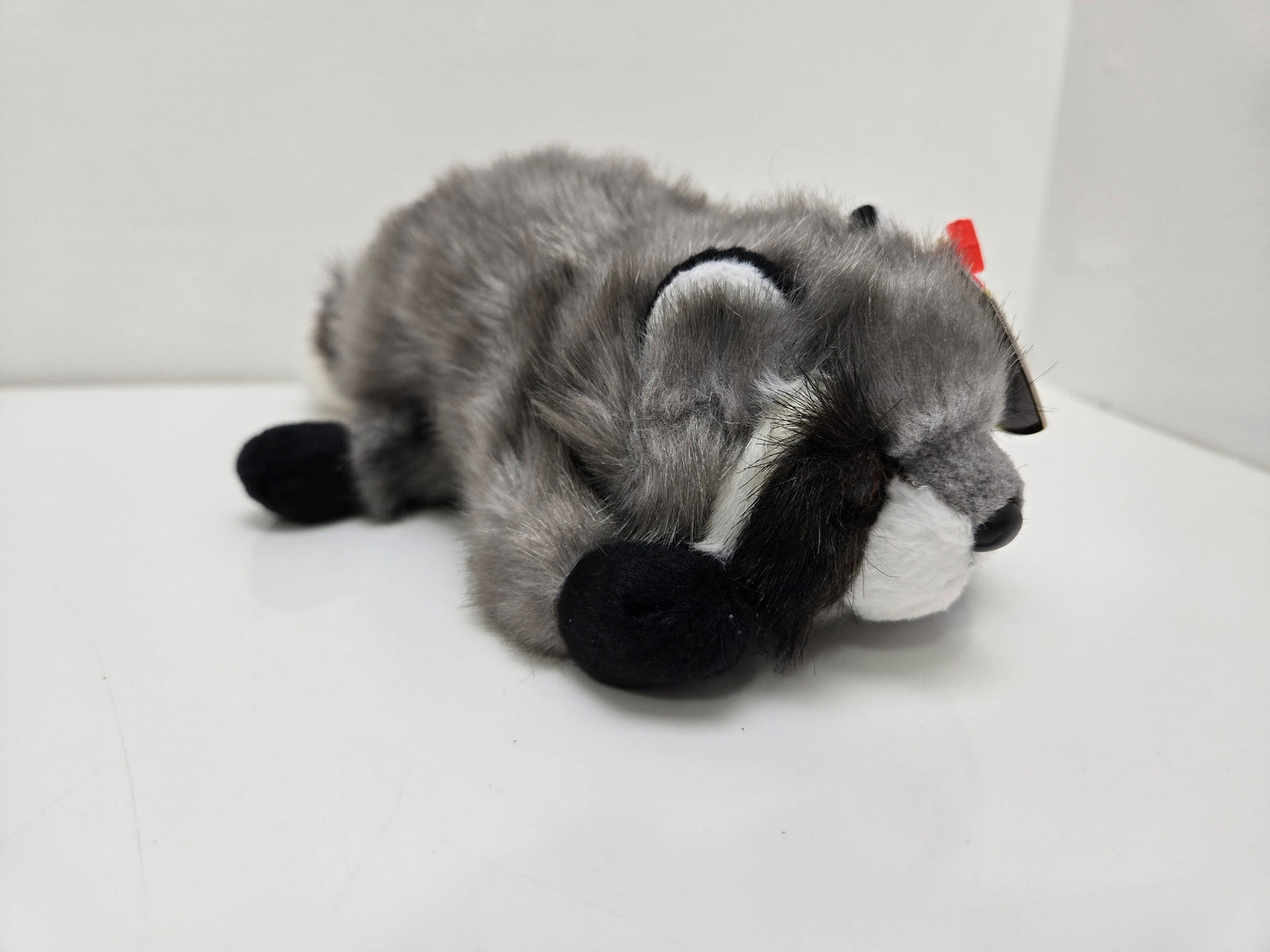 Ty Beanie Baby “Snoops” the Racoon ! (6.5 inch)