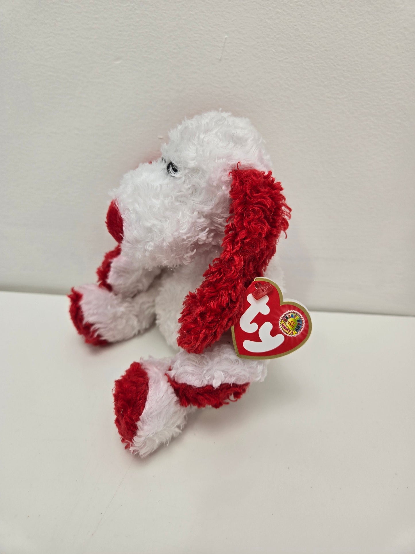 Ty Beanie Baby “Adonis” the Dog - Beanie Baby of the Month (5.5 inch)