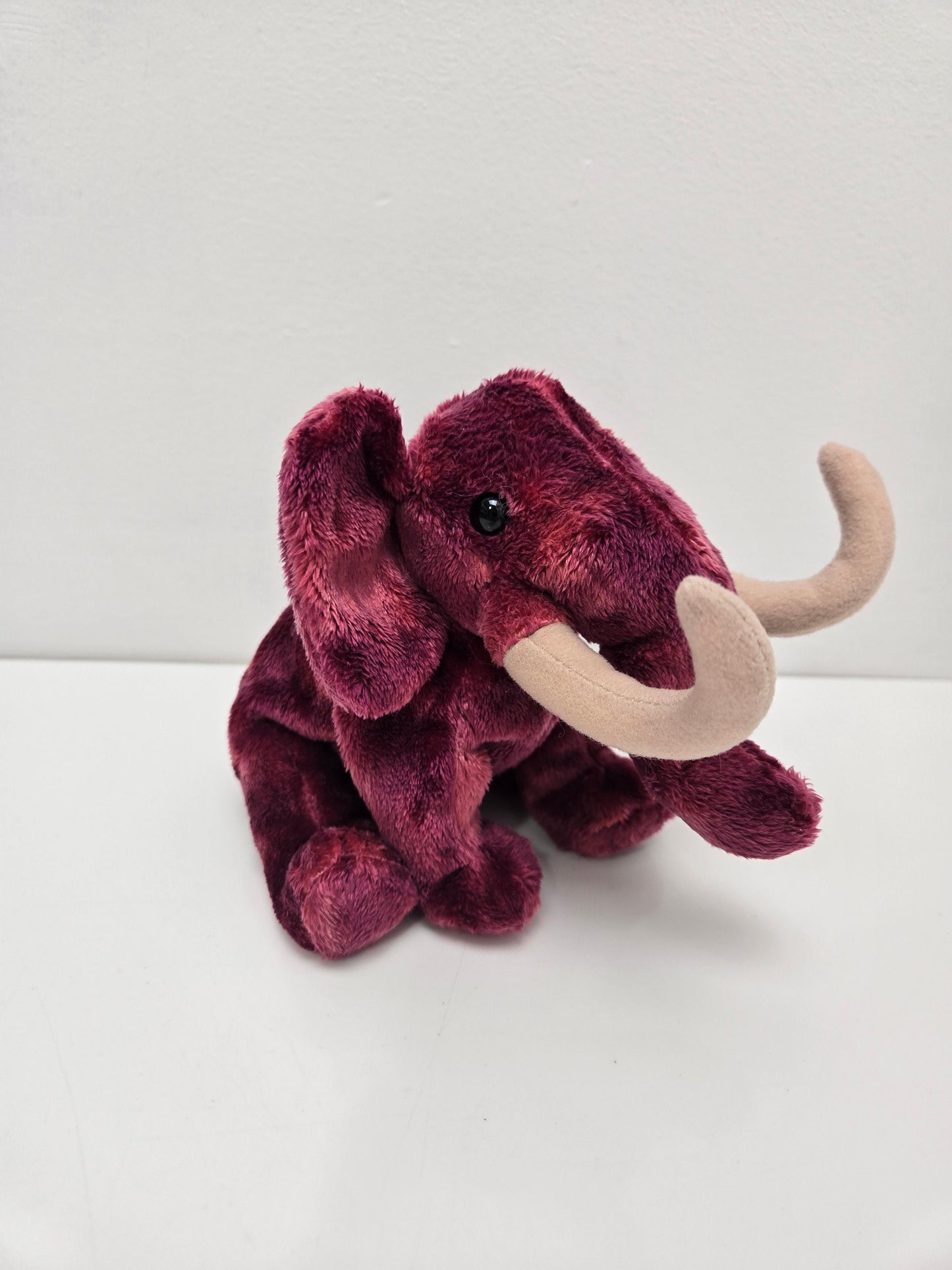 Ty Beanie Baby “Colosso” the Mammoth (7 inch)