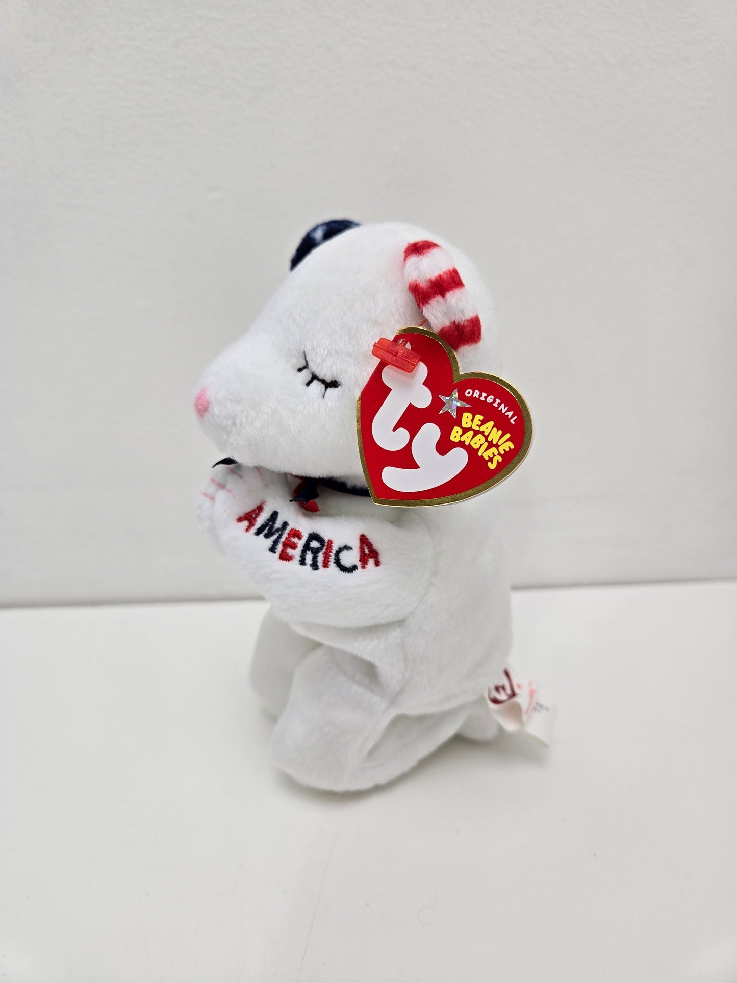 Ty Beanie Baby “American Blessing” the Praying Bear with God Bless America Embroidered on Arms (6.5 inch)