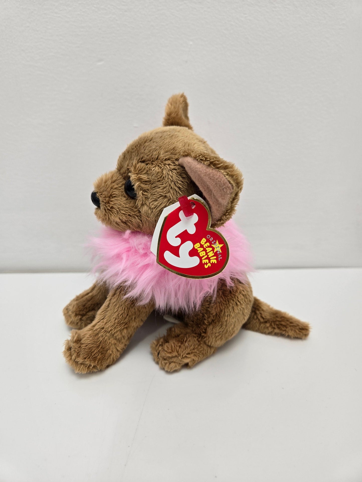 Ty Beanie Baby “Divalectable” the Chihuahua Puppy Dog! *Rare* (6 inch)