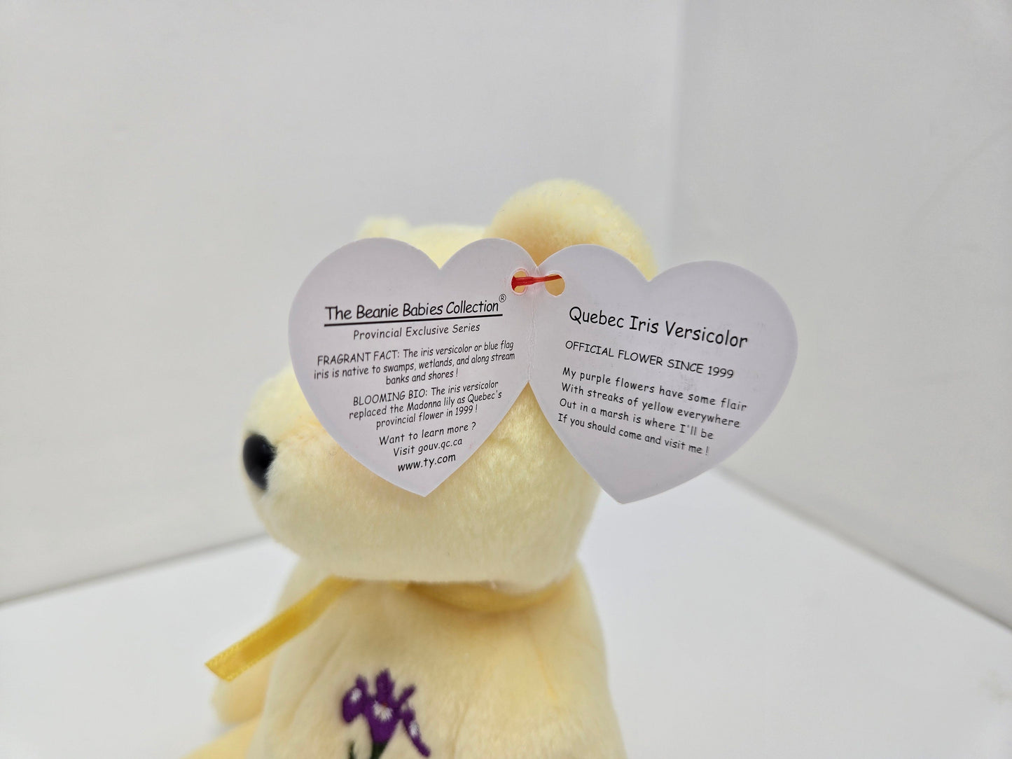 Ty Beanie Baby “Quebec Iris Versicolor” the Bear - Canada Show Exclusive (8.5 inch)