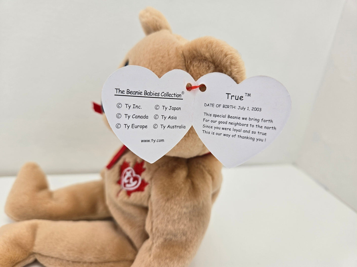 Ty Beanie Baby “True” the Canadian Bear with Maple Leaf on Chest - Canada Exclusive (8.5 inch)