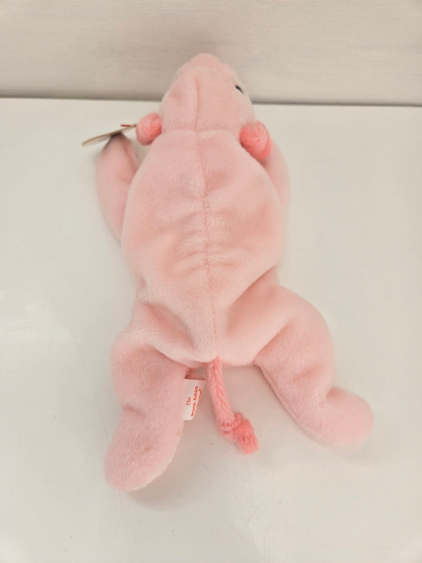 Ty Beanie Baby “Squealer” the Pig ! (8 inch)