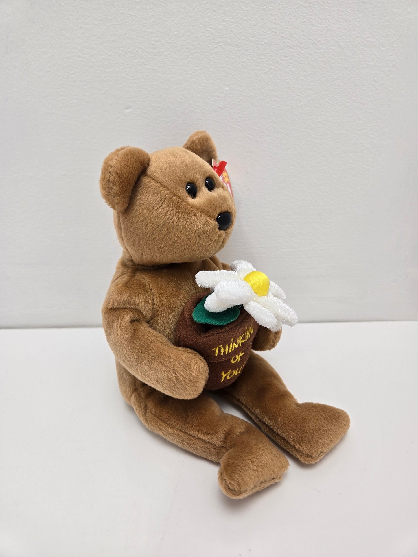 Ty Beanie Baby “You’re Special” the Thinking of you Bear  - Internet Exclusive (8.5 inch)