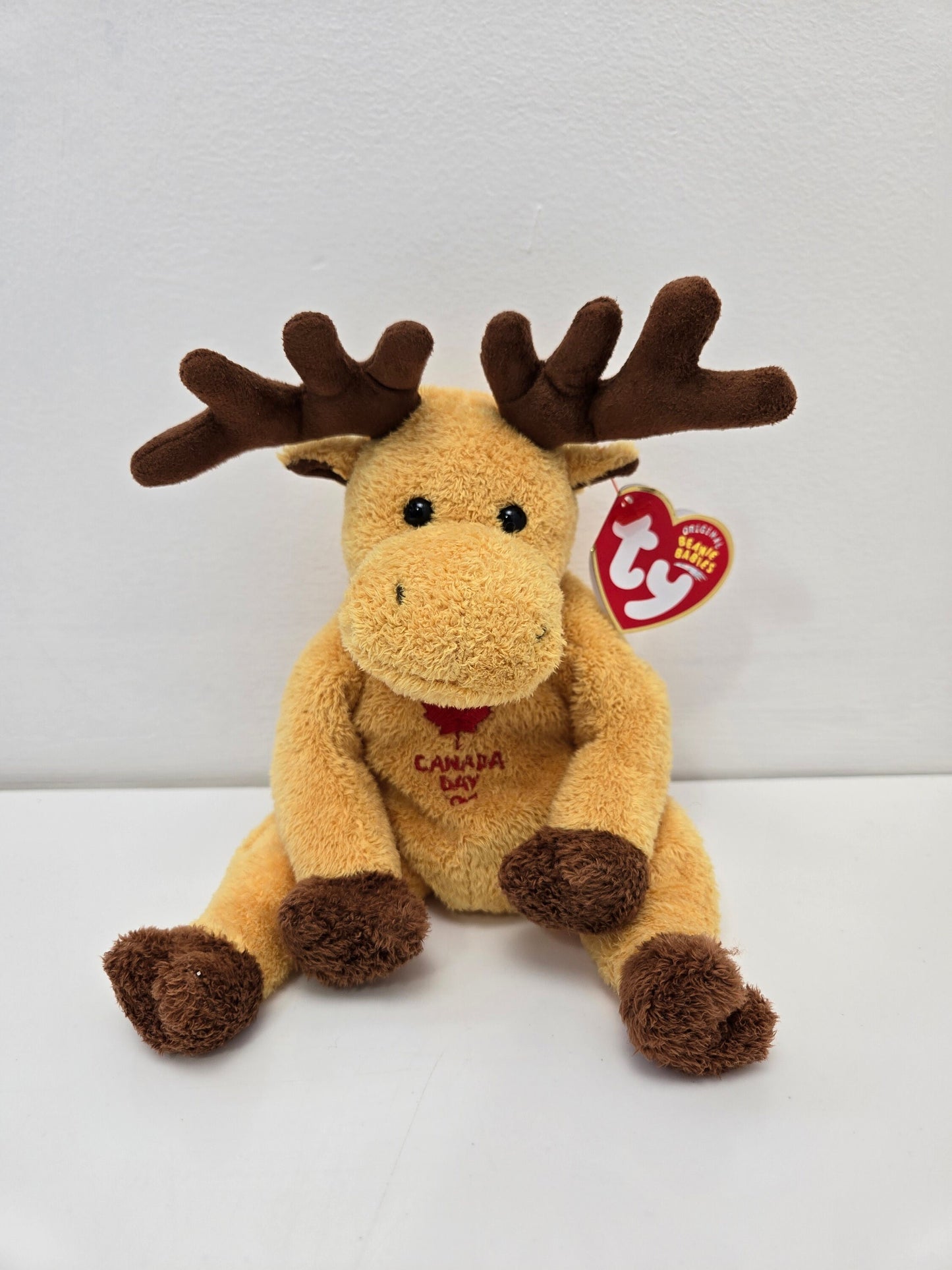 Ty Beanie Baby “Dominion” the Canada Moose! *Internet Exclusive* (6.5 inch)