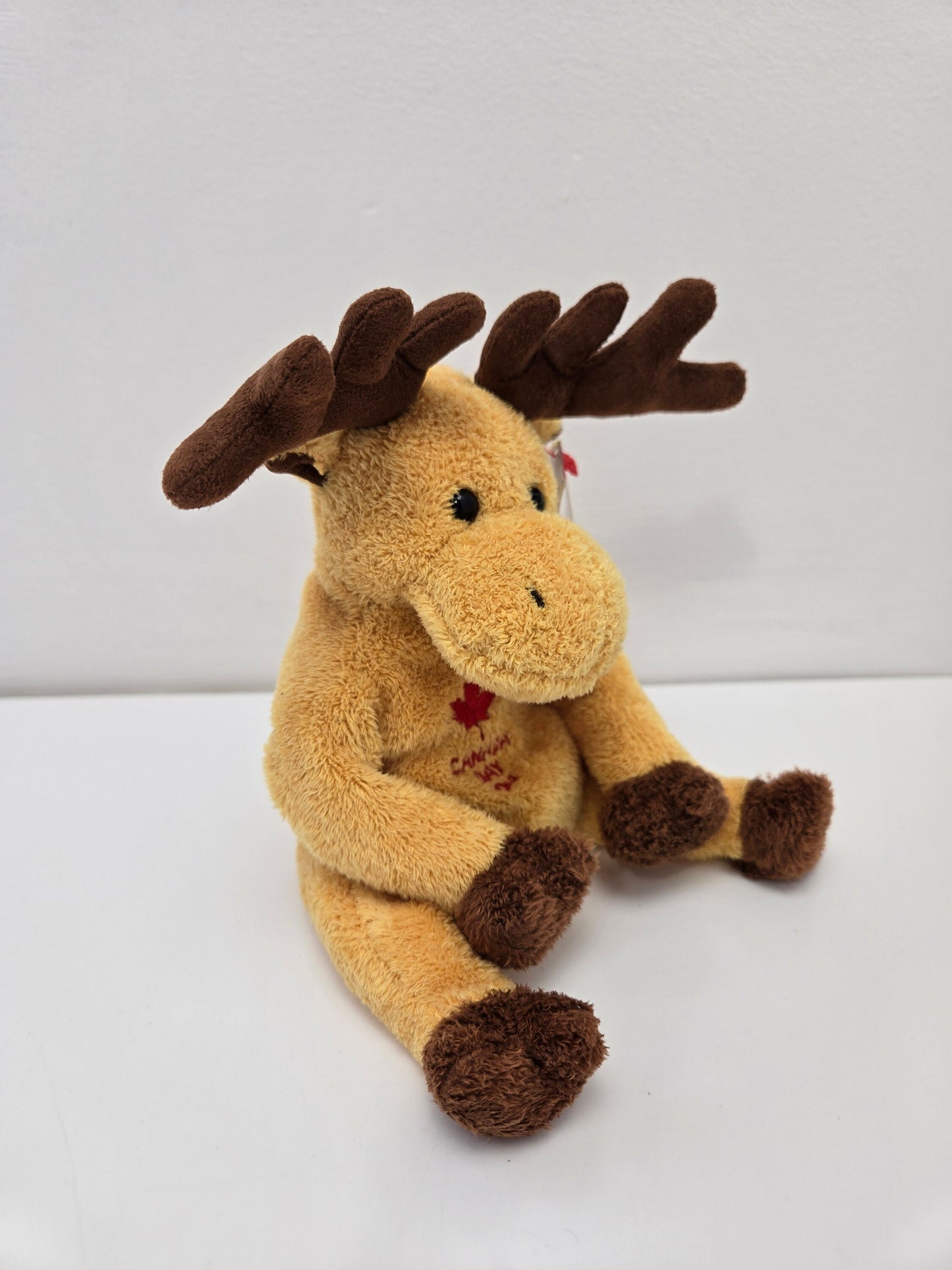 Ty Beanie Baby “Dominion” the Canada Moose! *Internet Exclusive* (6.5 inch)