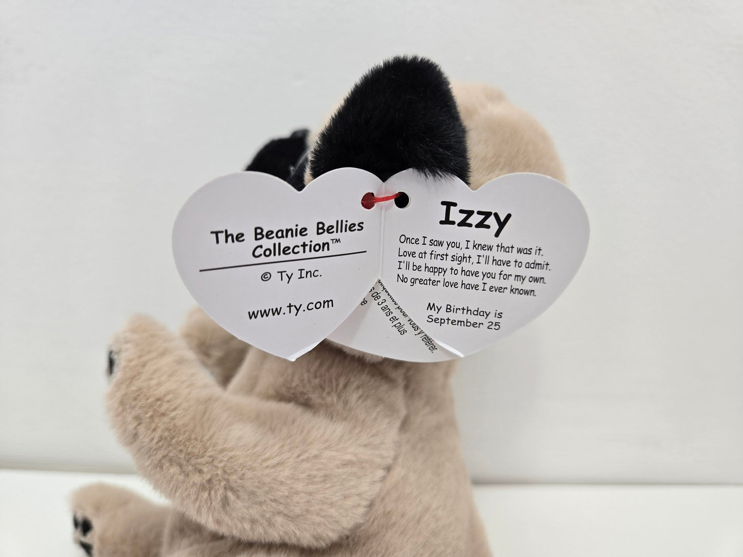 Ty Beanie Bellies “Izzy” the Pug Dog Plush! (8 inch)