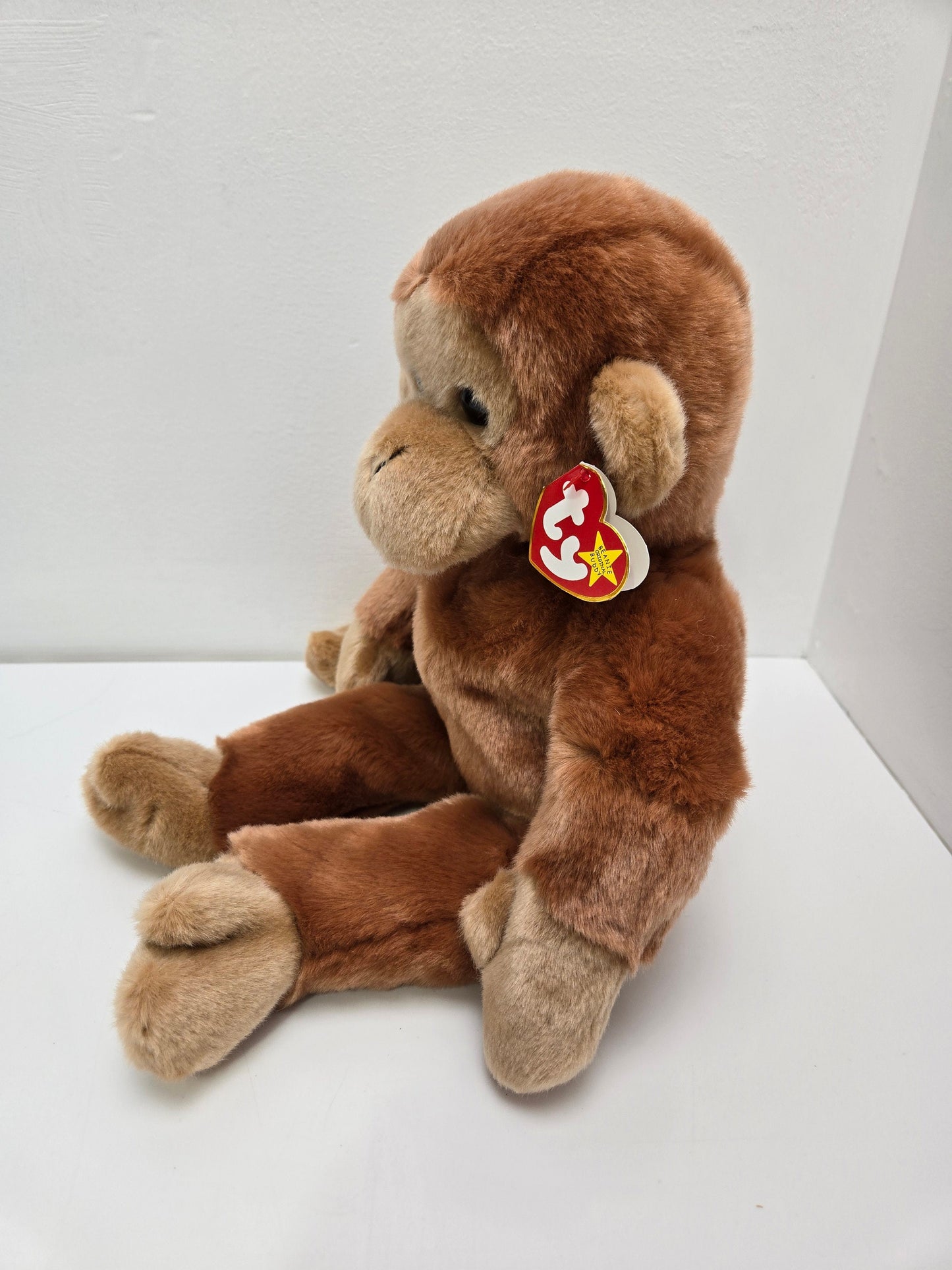 Ty Beanie Buddy Bongo the Monkey (14 inch)