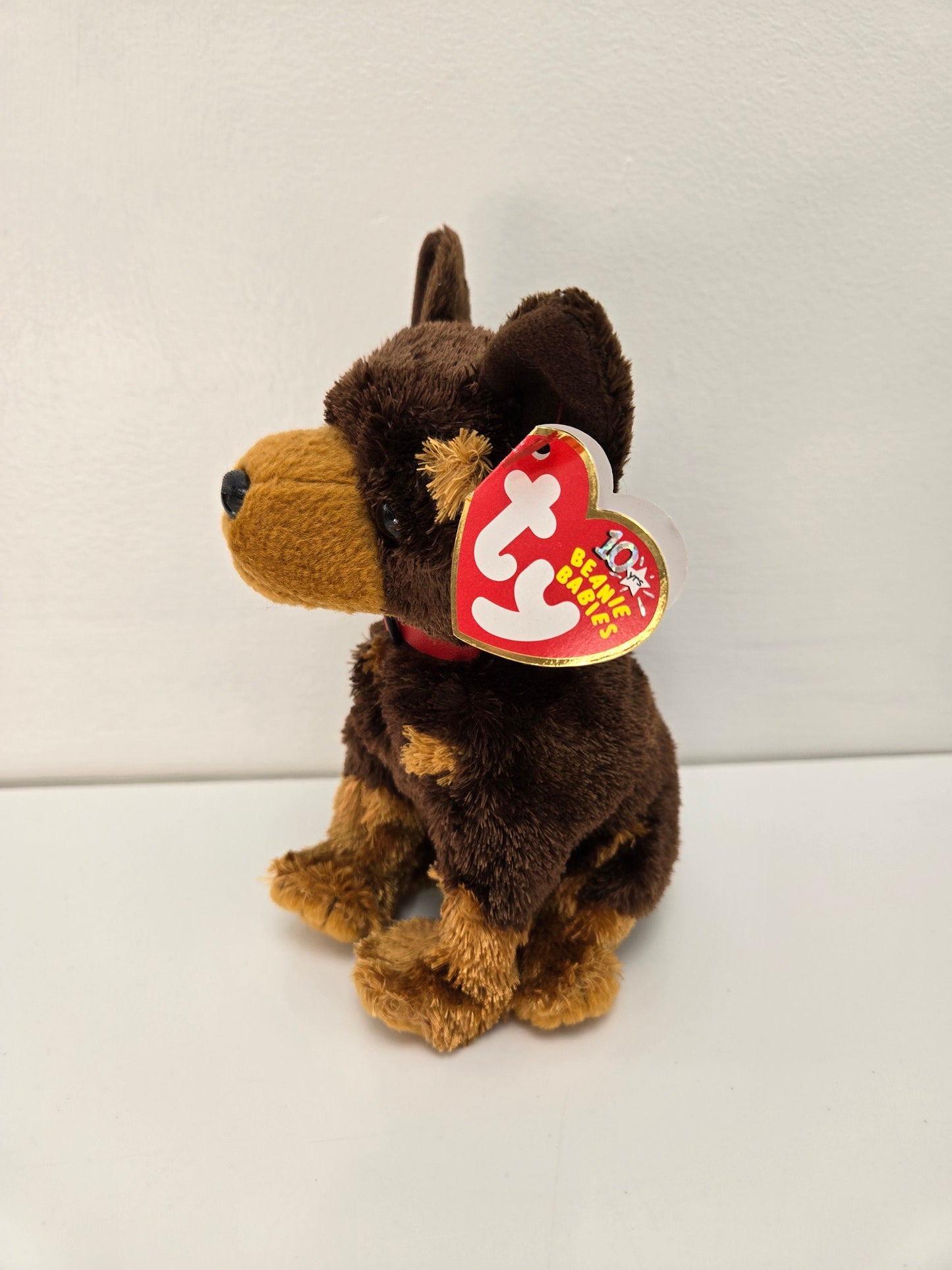 Ty Beanie Baby “Amigo” the Dog! Internet Exclusive! (6 inch)