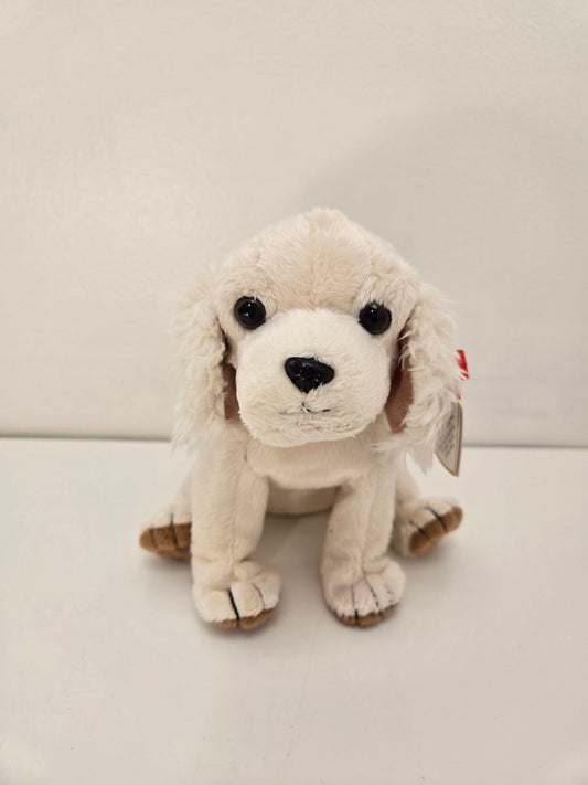 Ty Beanie Baby “Laptop” the Dog ! (6 inch)