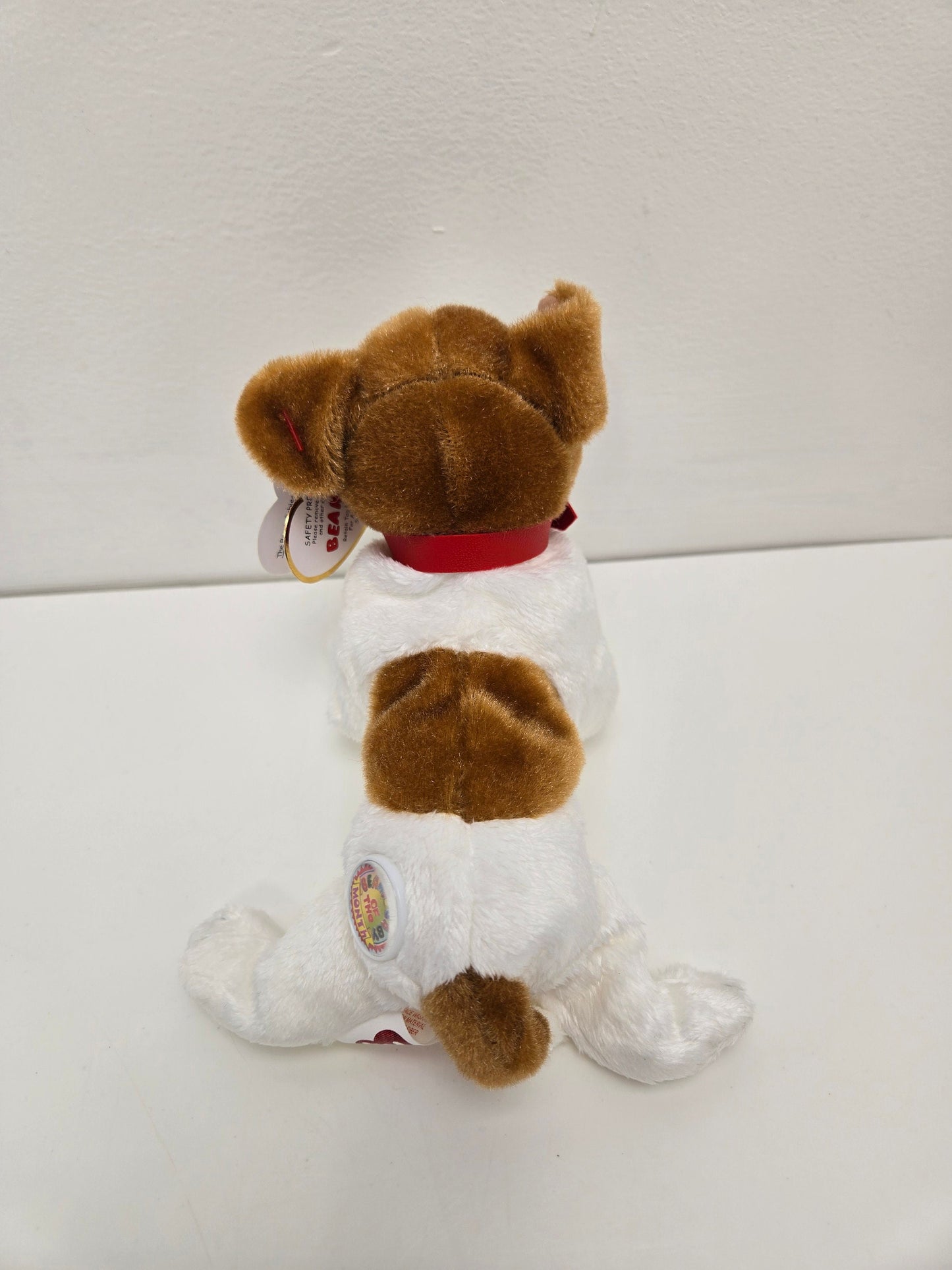 Ty Beanie Baby “Kippy” the Dog! Beanie Baby of the Month! (6 inch)