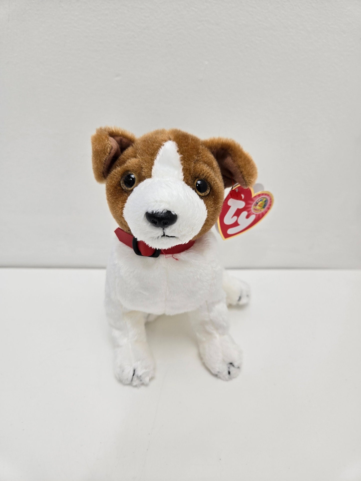 Ty Beanie Baby “Kippy” the Dog! Beanie Baby of the Month! (6 inch)