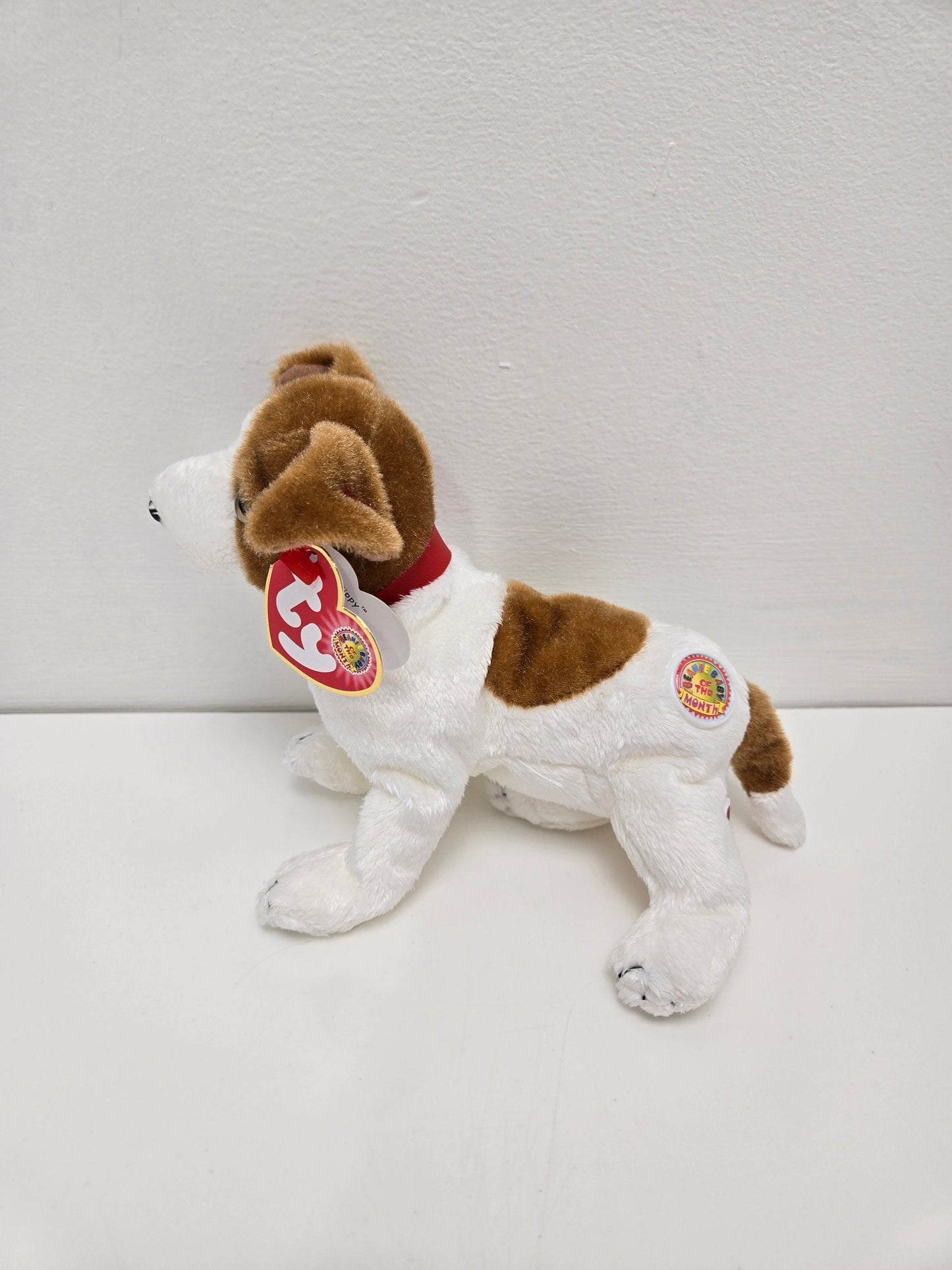 Ty Beanie Baby “Kippy” the Dog! Beanie Baby of the Month! (6 inch)