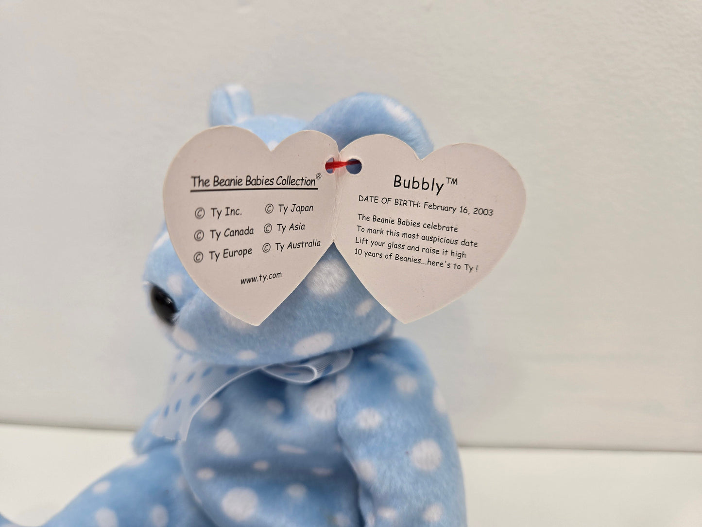 Ty Beanie Babies “Bubbly” the Bear - Show Exclusive (8.5 inch)