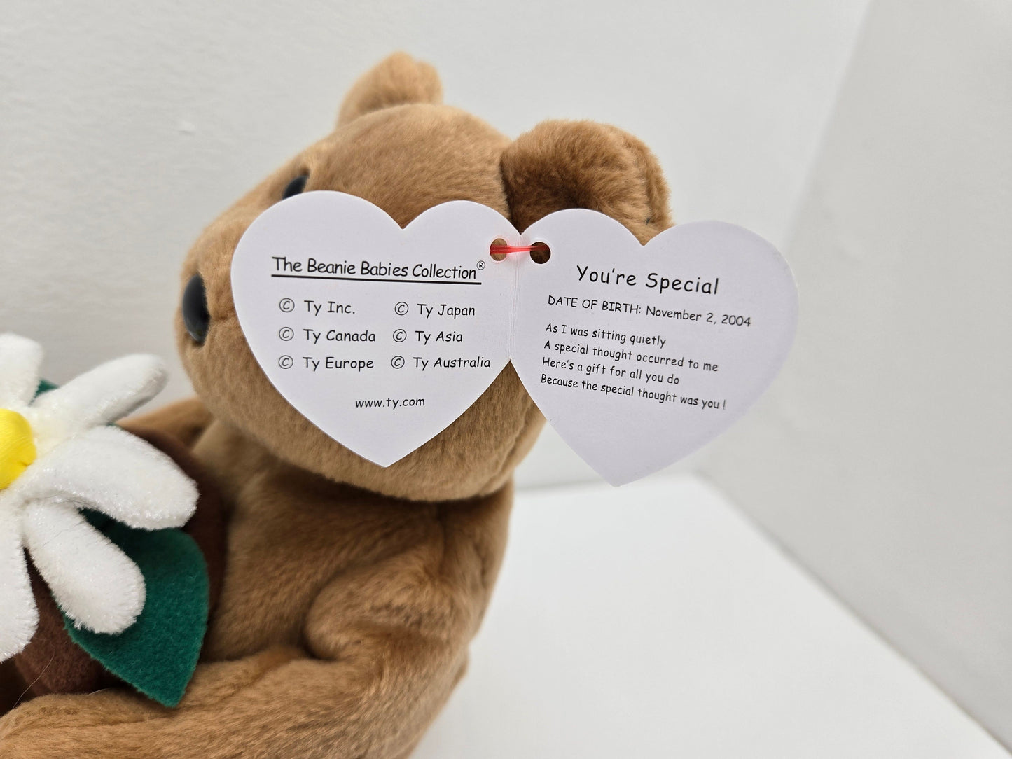 Ty Beanie Baby “You’re Special” the Thinking of you Bear  - Internet Exclusive (8.5 inch)