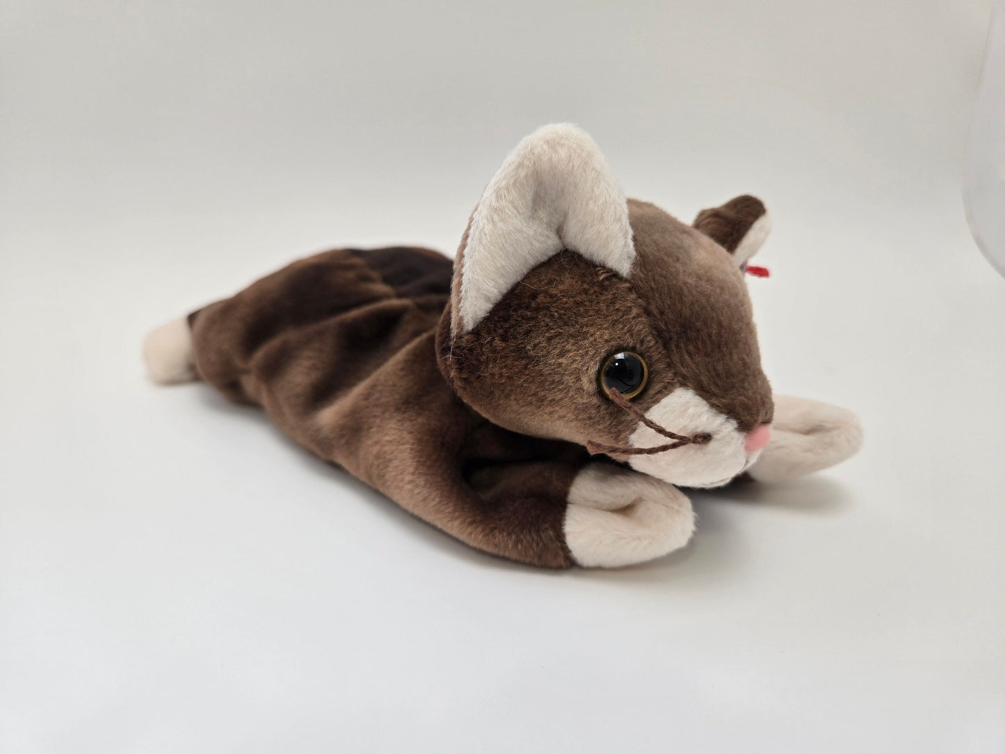 Ty Beanie Baby “Pounce” the Cat! (8 inch)