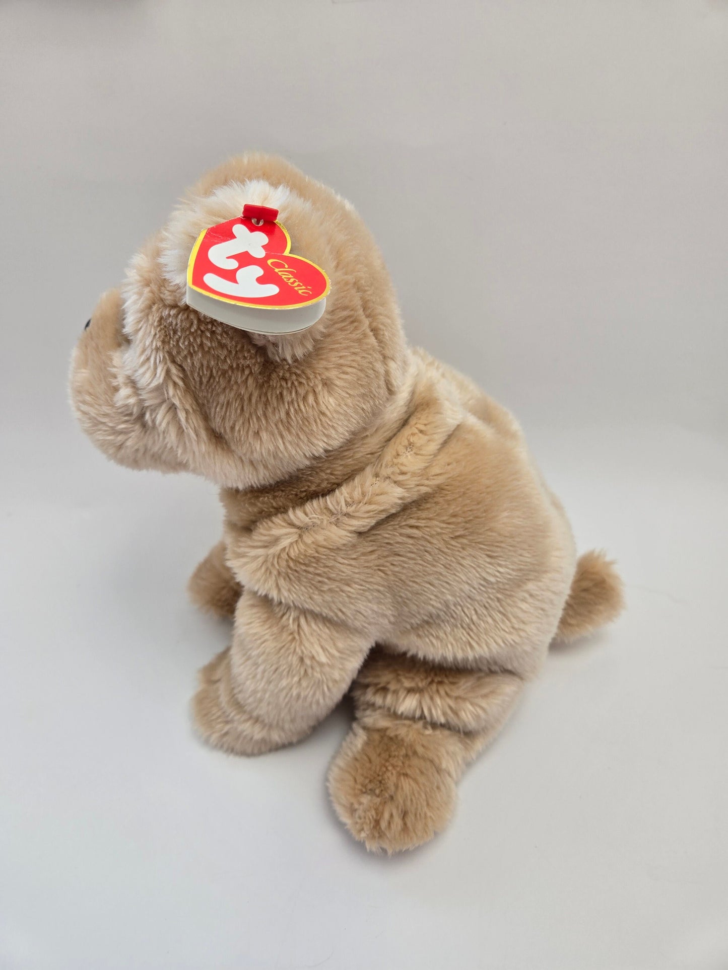 Ty Classics Collection “Duff” the Cute Bulldog Dog - Rare! (11 inch)