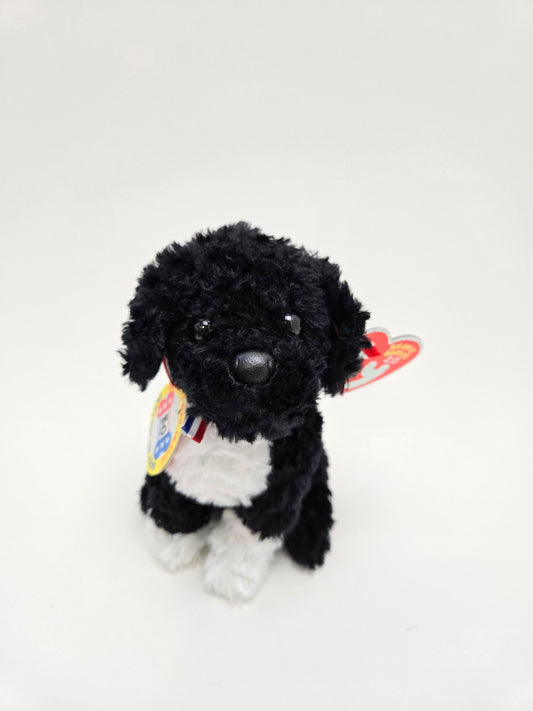 TY Beanie Baby “Bo” the Portuguese Water Dog (6 inch)