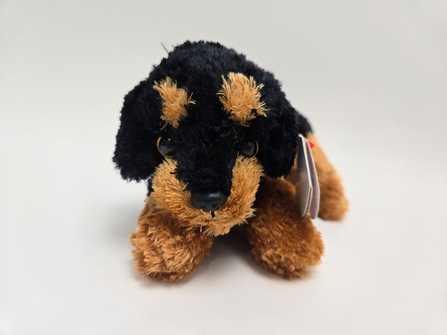 Ty Beanie Baby “Brutus” the Puppy Dog Rottweiler - Rare Laying Down Version *Rare* (7 inch)