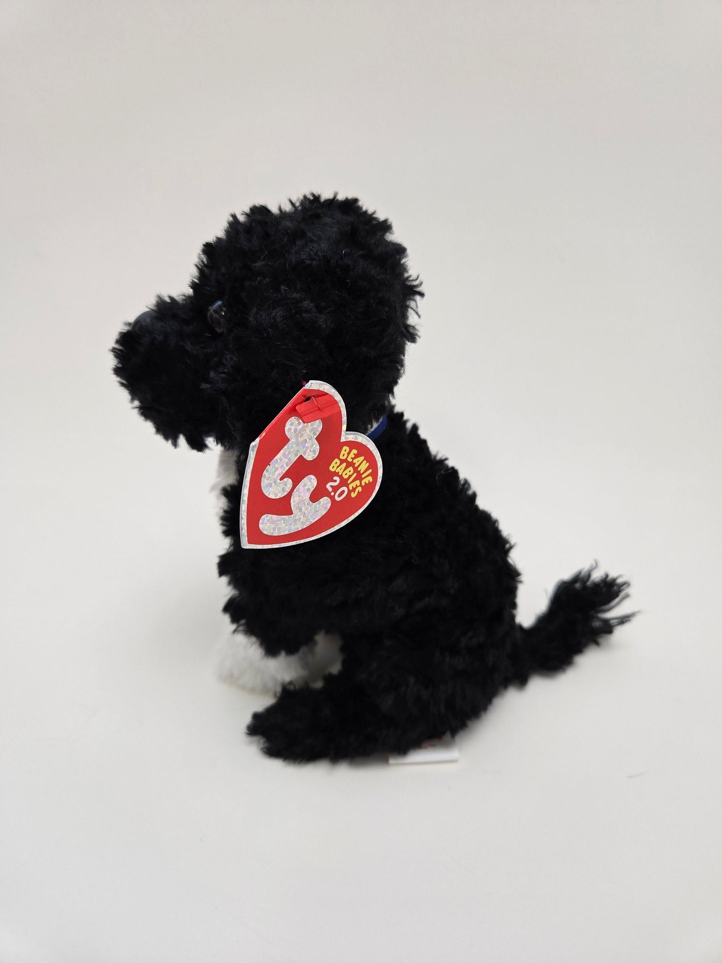 TY Beanie Baby “Bo” the Portuguese Water Dog (6 inch)