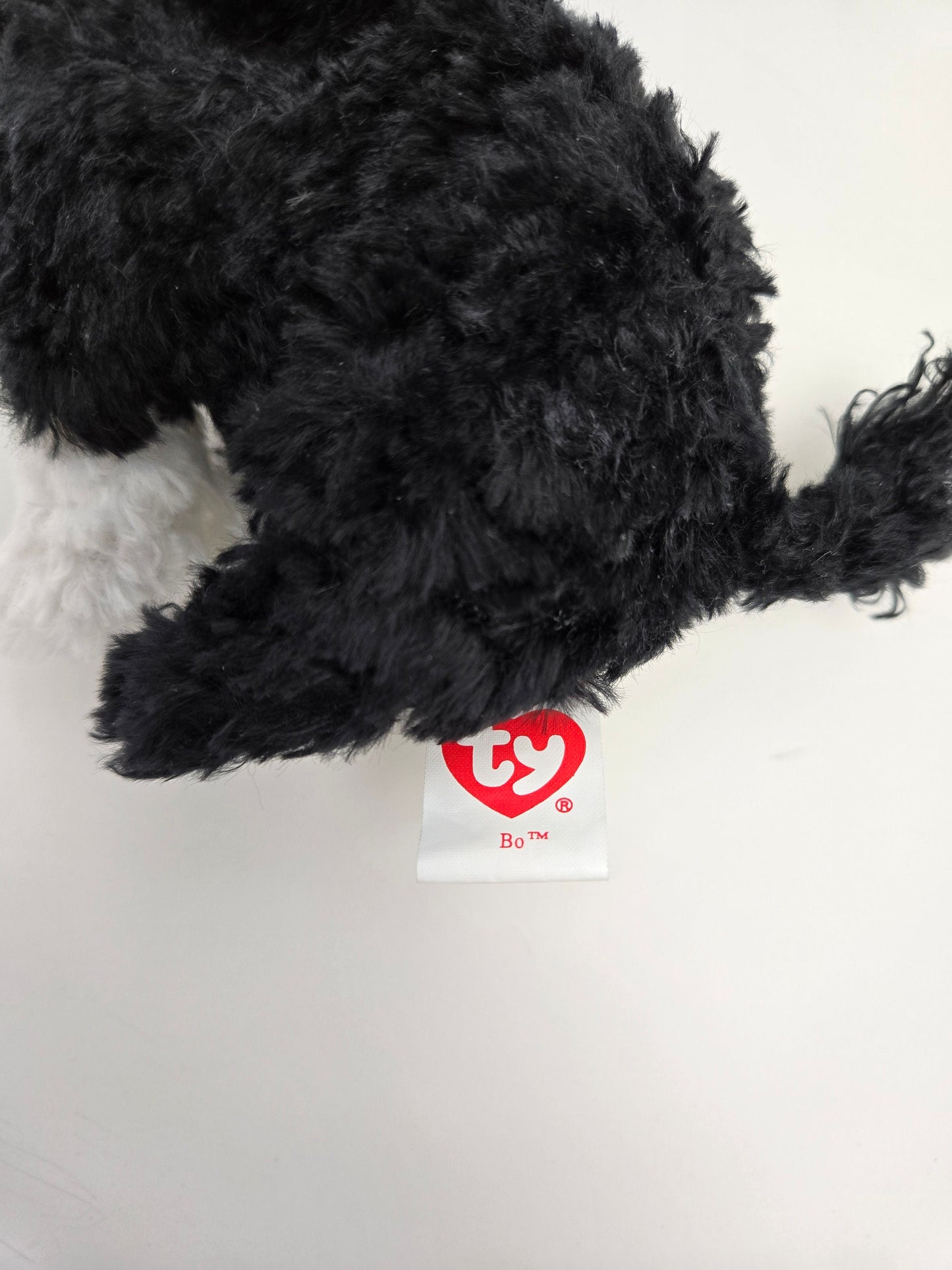 TY Beanie Baby “Bo” the Portuguese Water Dog (6 inch)