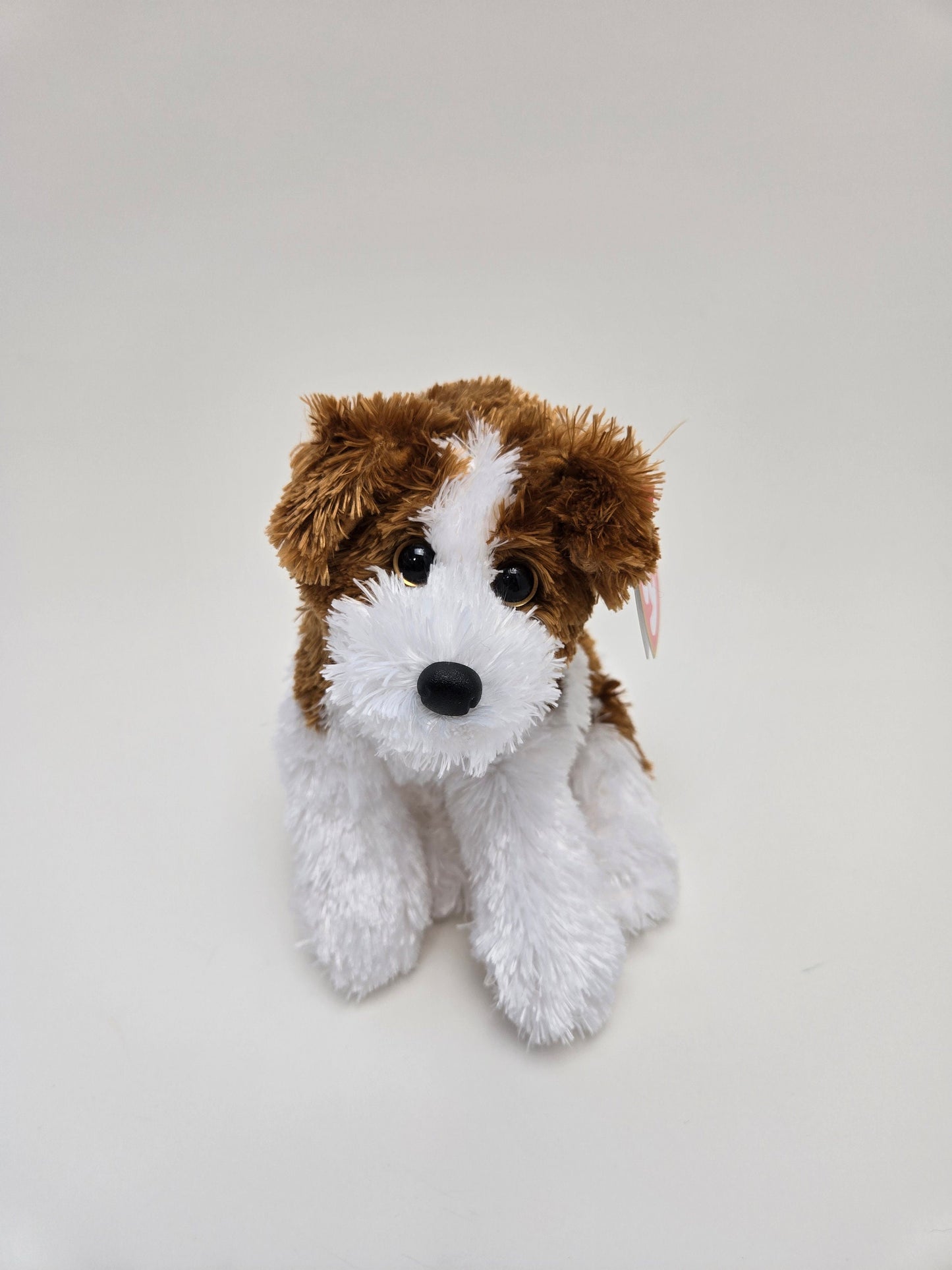 Ty Beanie Baby “Rowdy” the Dog (Brown & White Version) *RARE* (7.5 inch)