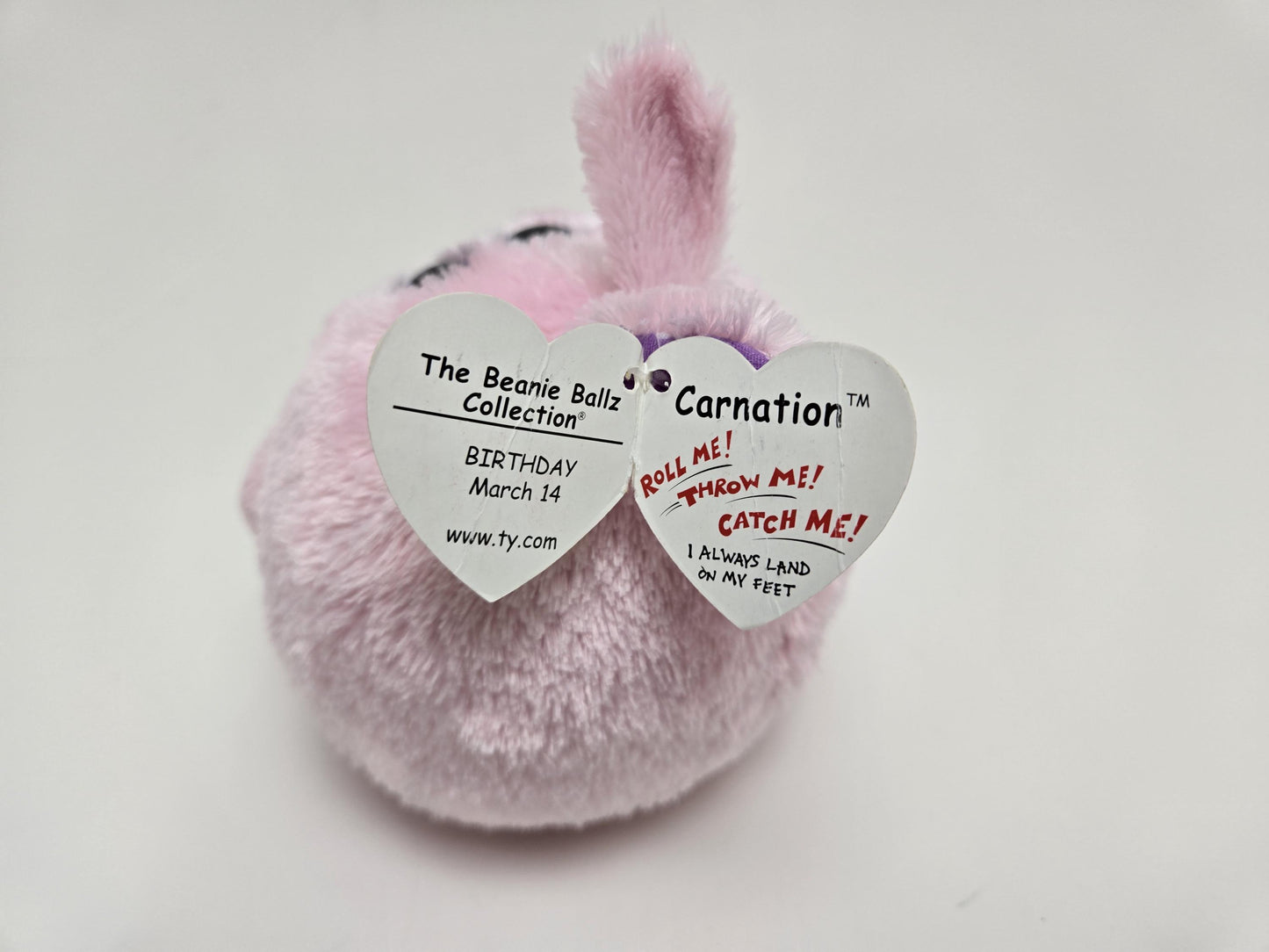 Ty Beanie Ballz “Carnation” the Bunny (6 inch)