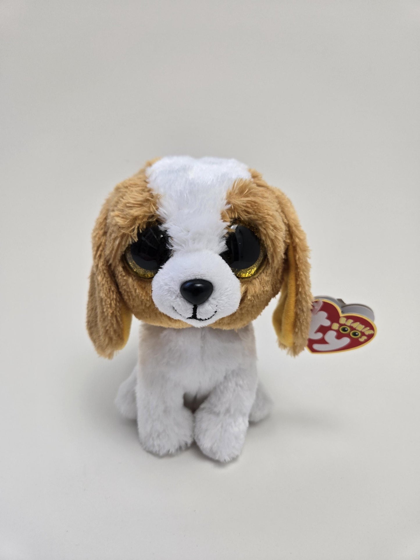 TY Beanie Boo “Cookie” the Puppy Dog (6 inch)