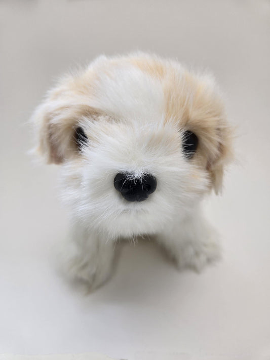 TY Classics Collection “Squirt” the Adorable Dog! (10 inch)