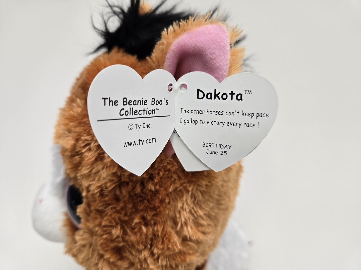 Ty Beanie Boo “Dakota” the Horse *Rare* (9 inch)