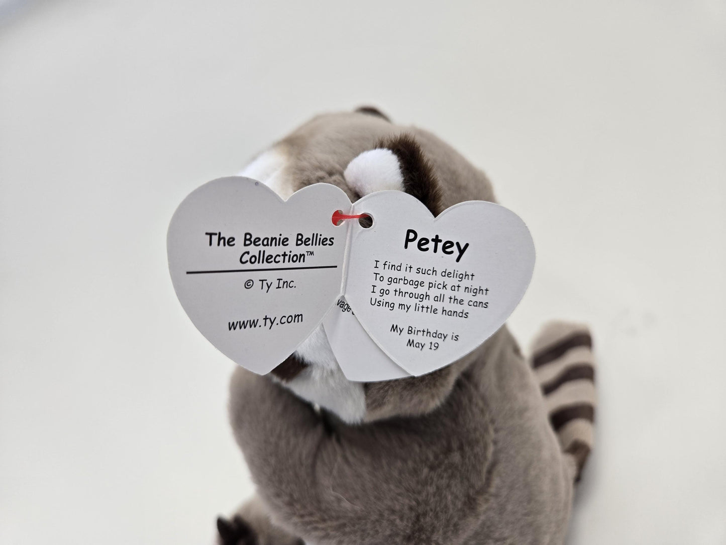 Ty Beanie Bellies "Petey” the Racoon! (6 inch)