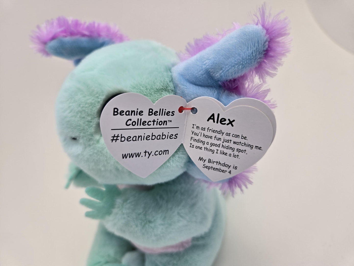 Ty Beanie Bellies Alex the Axolotl! (6 inch)