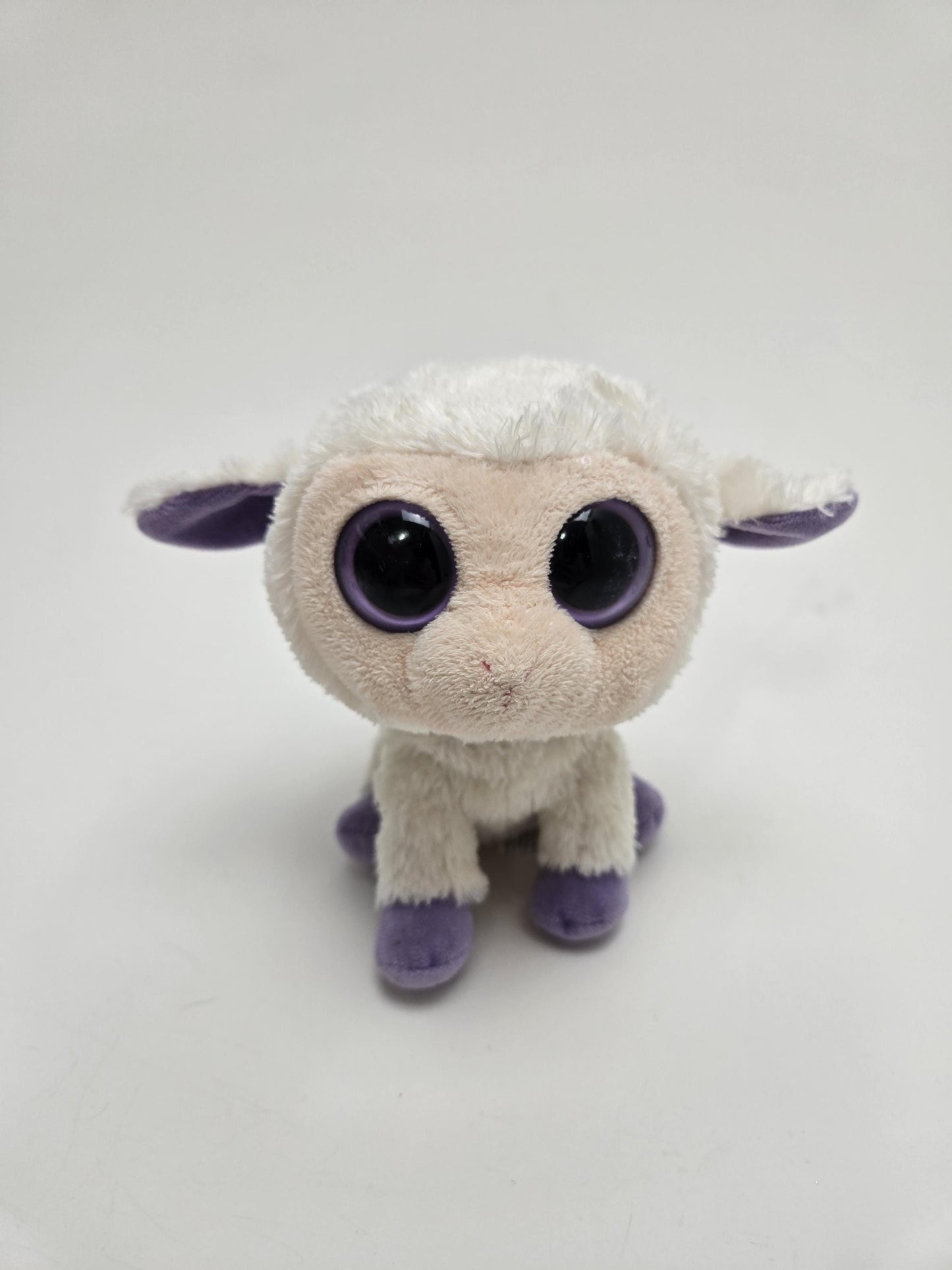 TY Beanie Boo “Clover” the Lamb - No Hang Tag and Eye Scratches (6 inch)